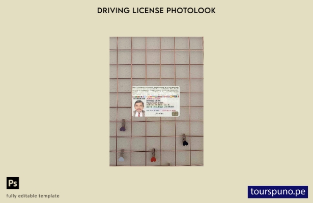 listo para imprimir Plantilla FRONTAL de foto de licencia de conducir internacio